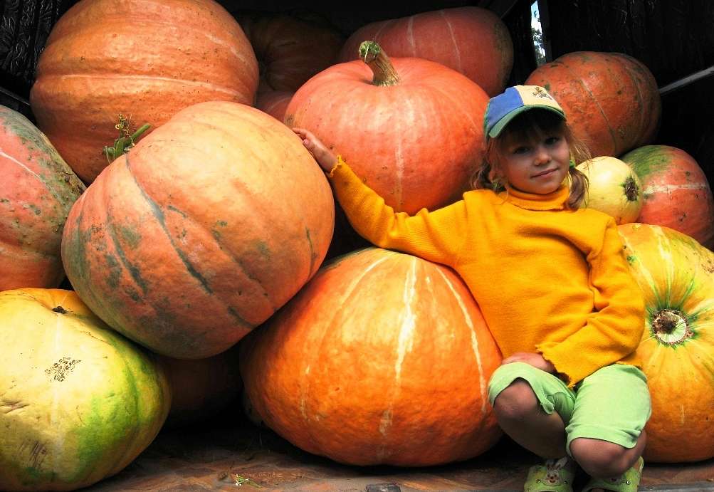Моє лелече Полісся - Любиковичі