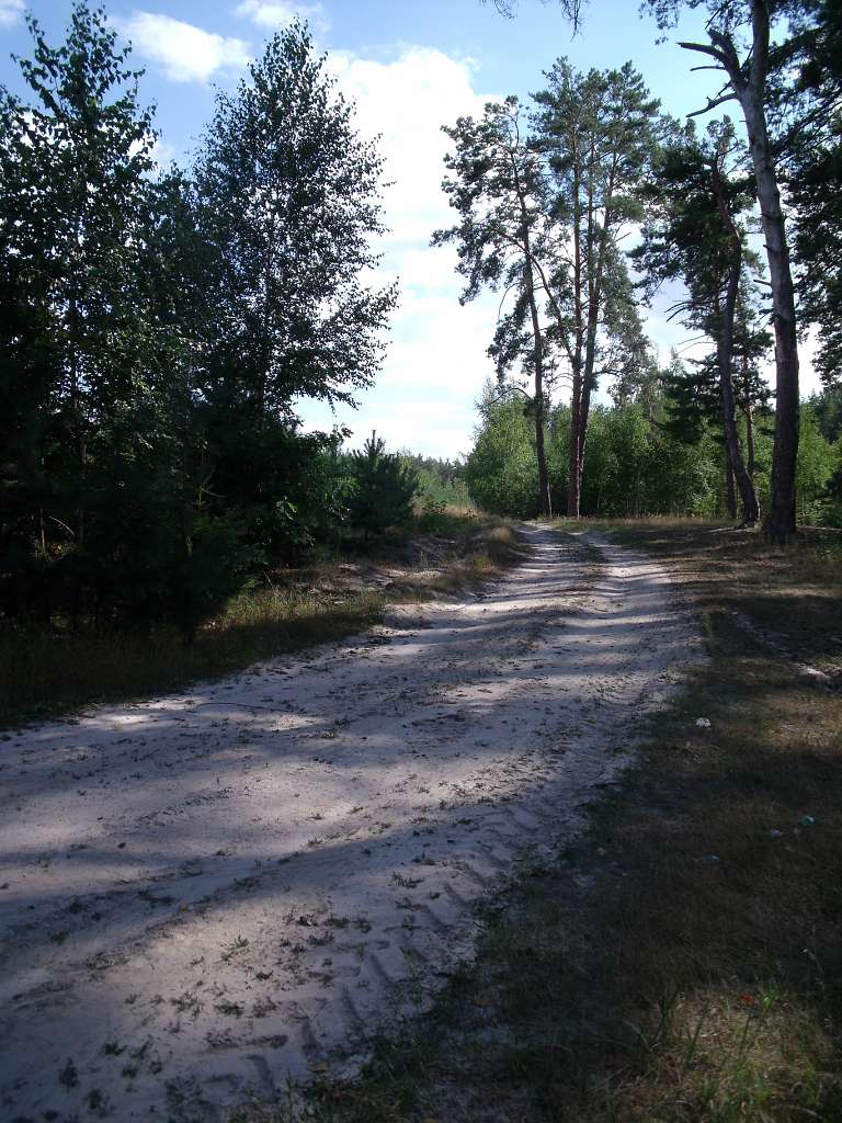 Літо - Скригалівка