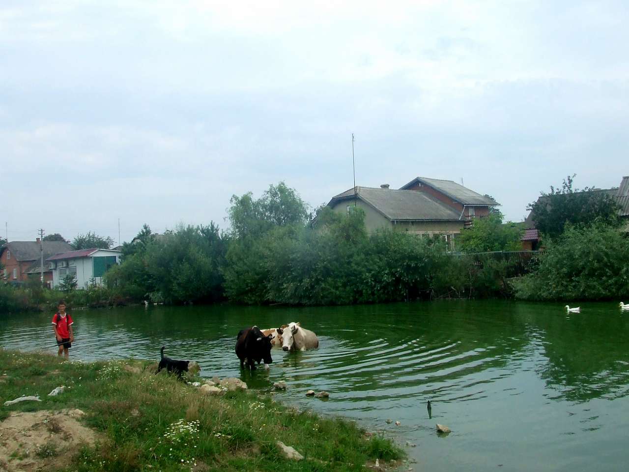 Краєвид - Pisochna