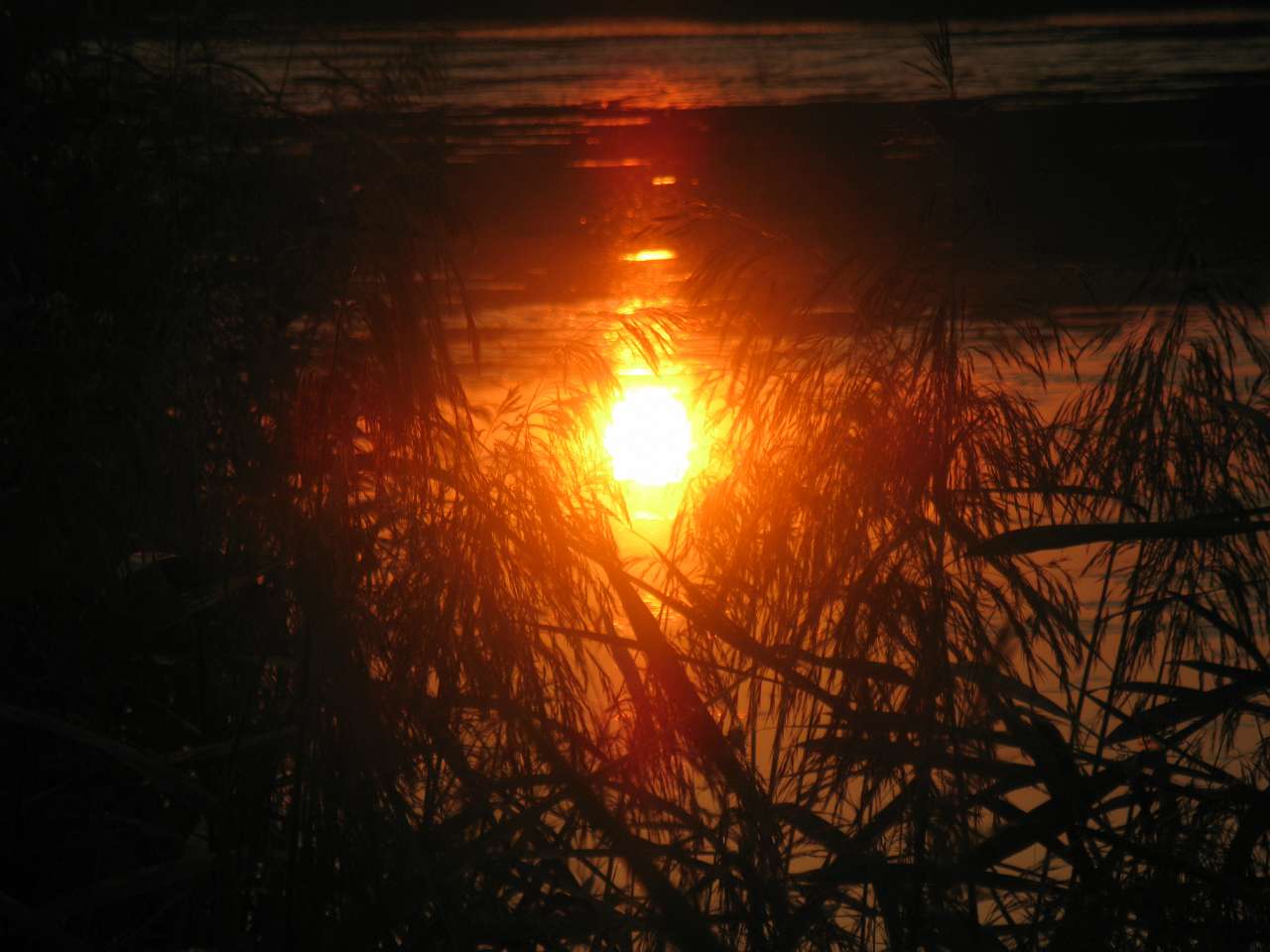 Захід сонця в Паламаренково. - Трибухи
