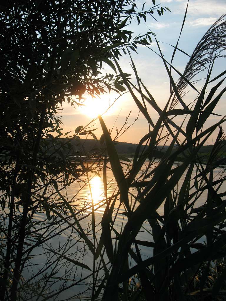 Захід сонця в Паламаренково. - Трибухи