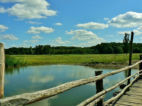 'Весна'-природа села Борушківці - Борушковцы