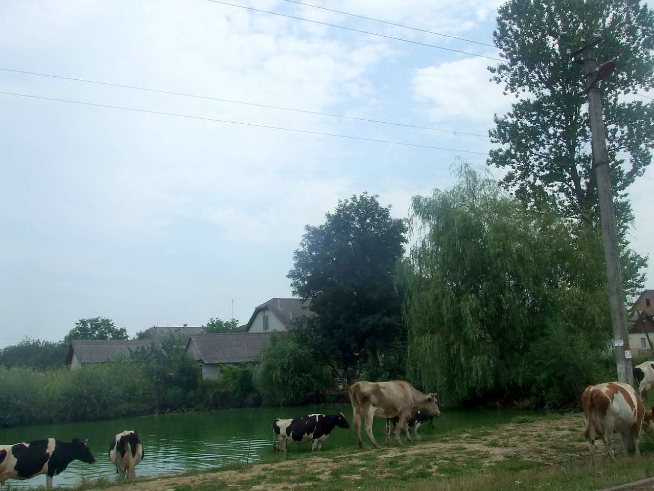 Краєвид - Пісочна