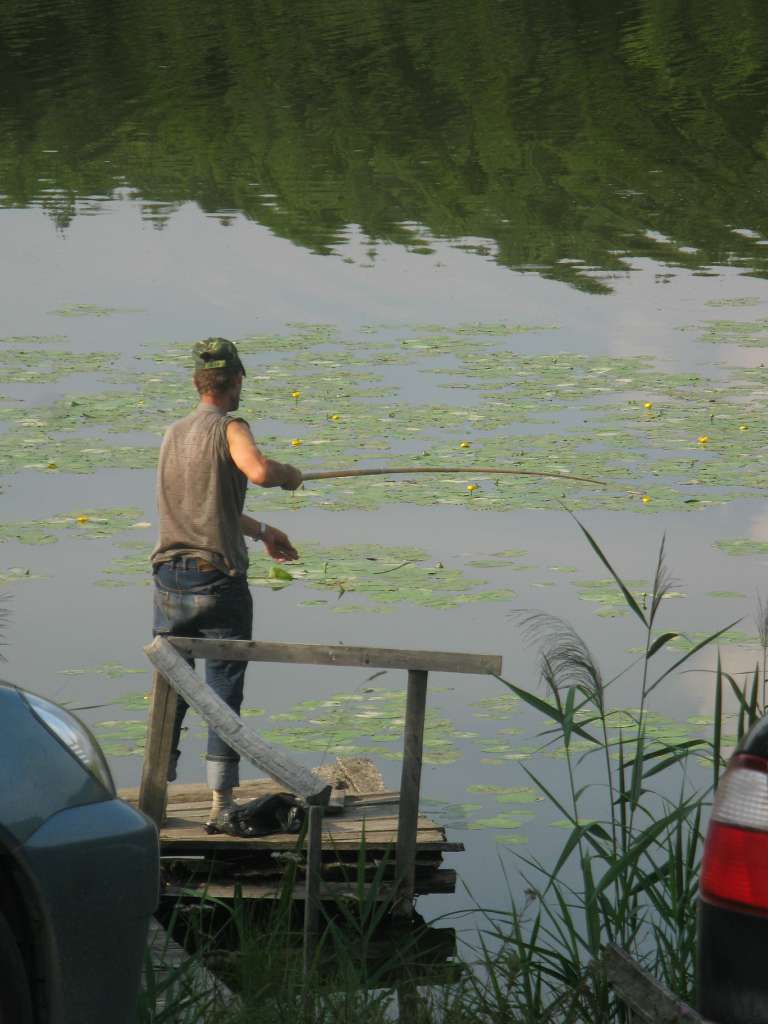 Паламаренкове 2012 - Трибухи