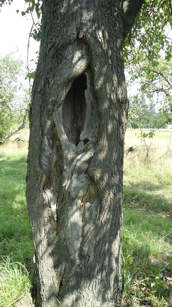 Природа - Райгородок