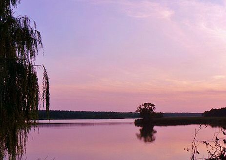 'Весна'-природа села Борушківці - Борушковцы