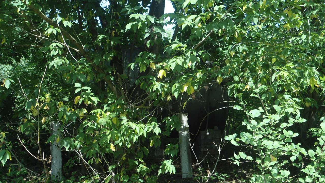 паркова алея поблизу маєтку - Райгородок