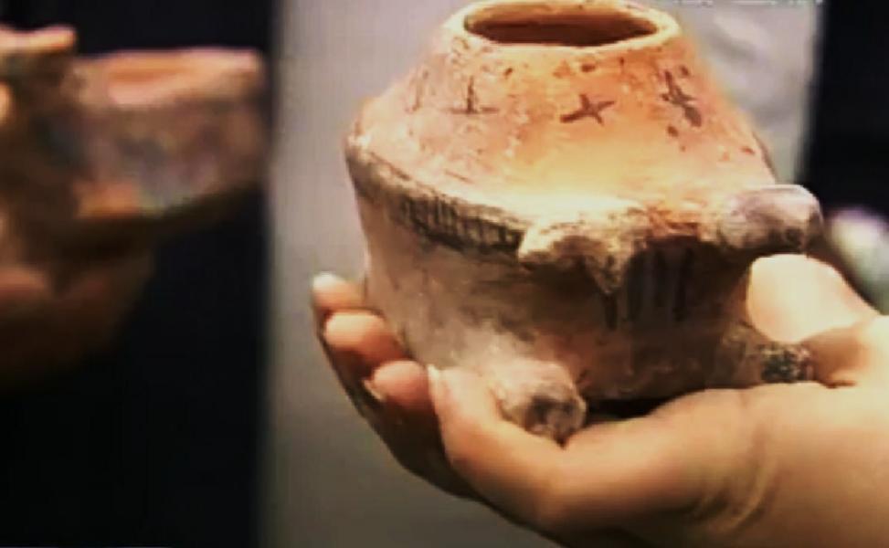 РОЗКОП ТРИПІЛЬСЬКОГО ПОСЕЛЕННЯ - Небелівка