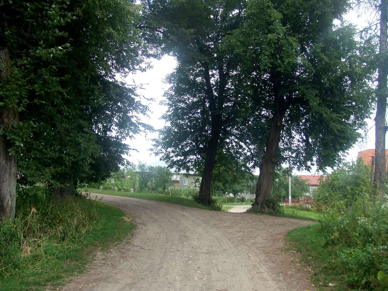 Краєвид - Черница