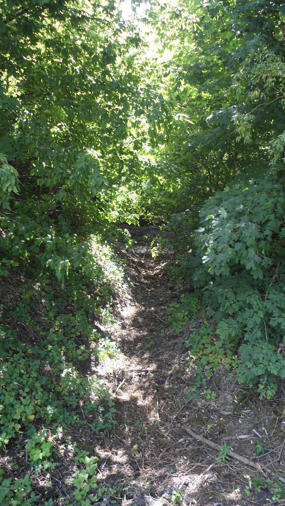 паркова алея поблизу маєтку - Райгородок