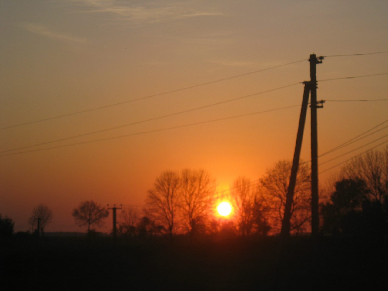 Природа села Борушковцы - Борушковцы