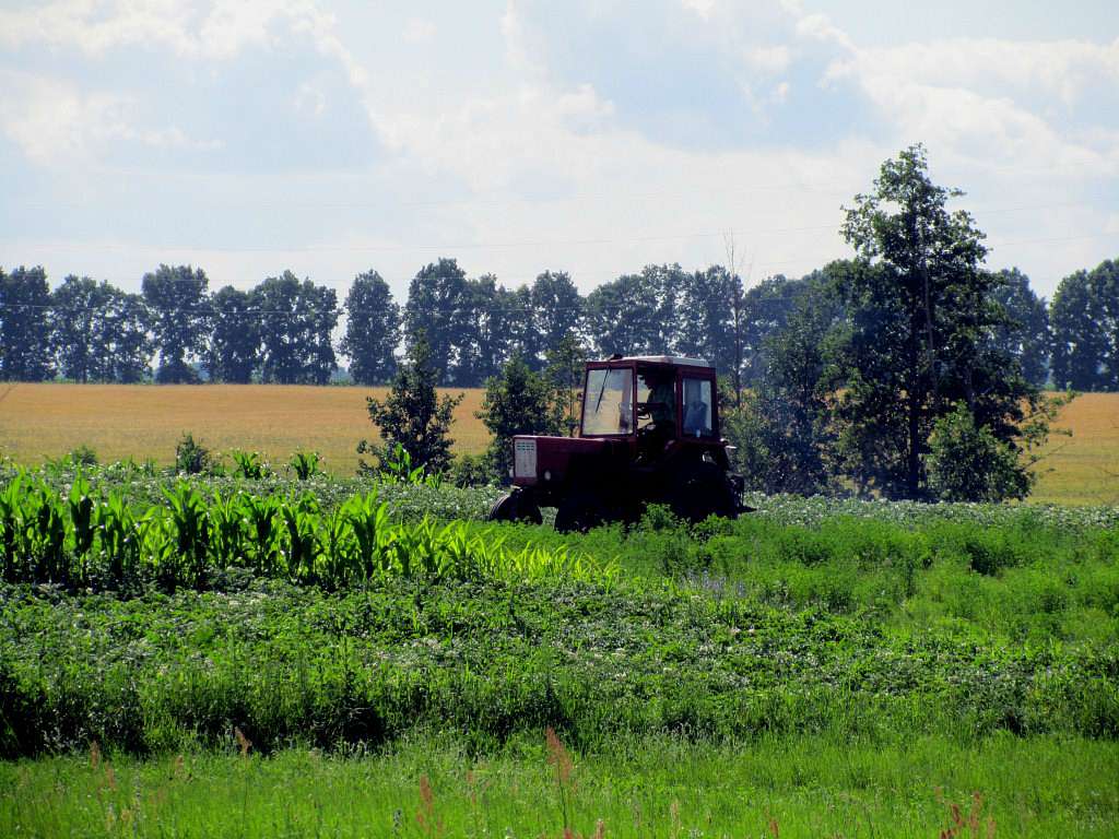 Водотиї - Водотиї