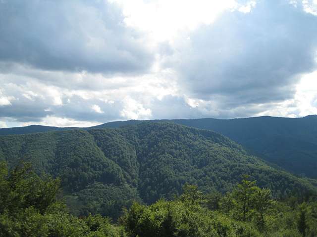 Мальовничі гори Карпати - Міжгір'я