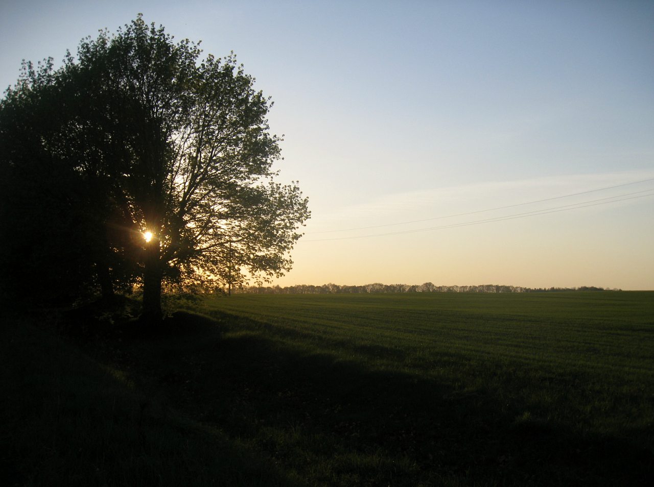 Природа села Борушковцы - Борушковцы