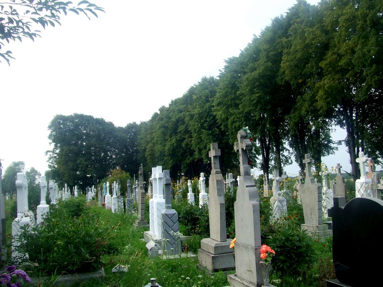 цвинтар - Derzhiv