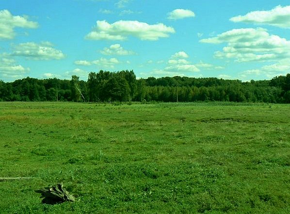 'Весна'-природа села Борушківці - Борушковцы