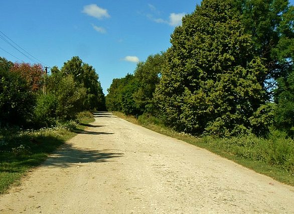 'Весна'-природа села Борушківці - Борушківці