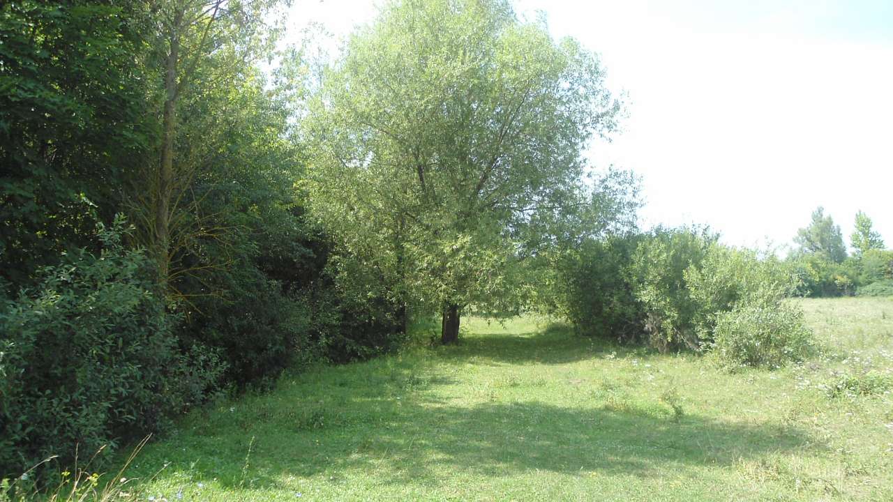 паркова алея поблизу маєтку - Райгородок