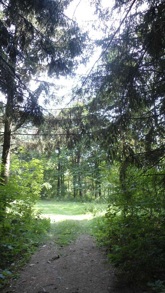 паркова алея поблизу маєтку - Райгородок