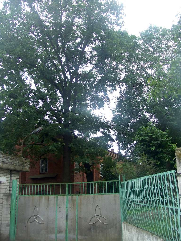 Склозавод - Пісочна