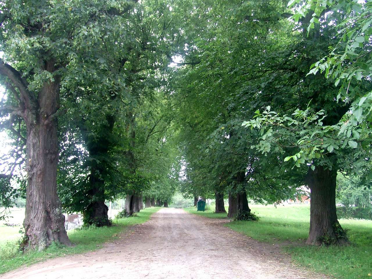 Краєвид - Черница