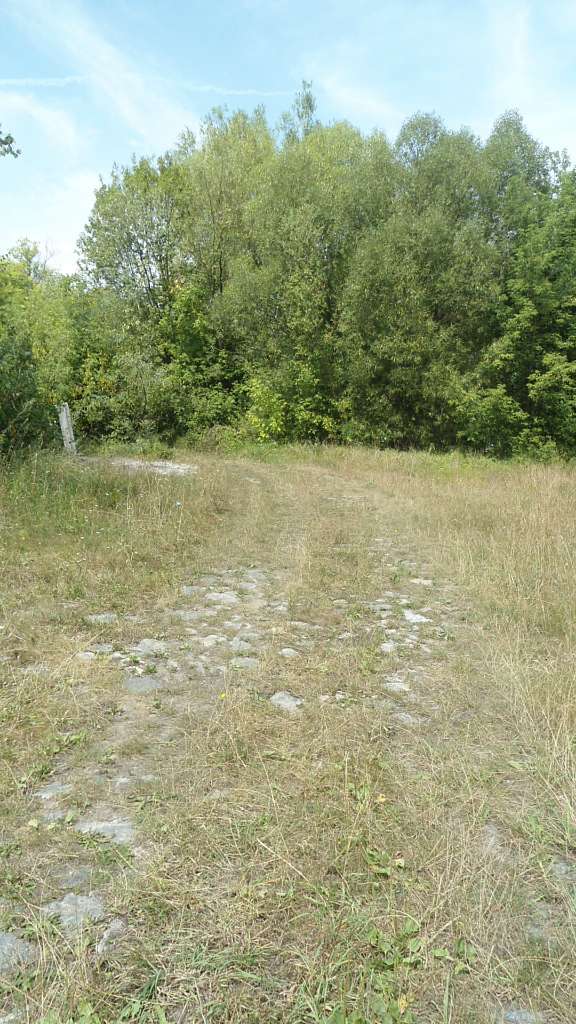 паркова алея поблизу маєтку - Райгородок