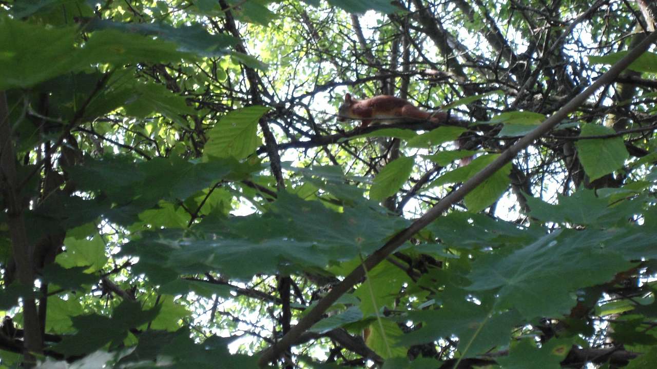 Природа - Райгородок