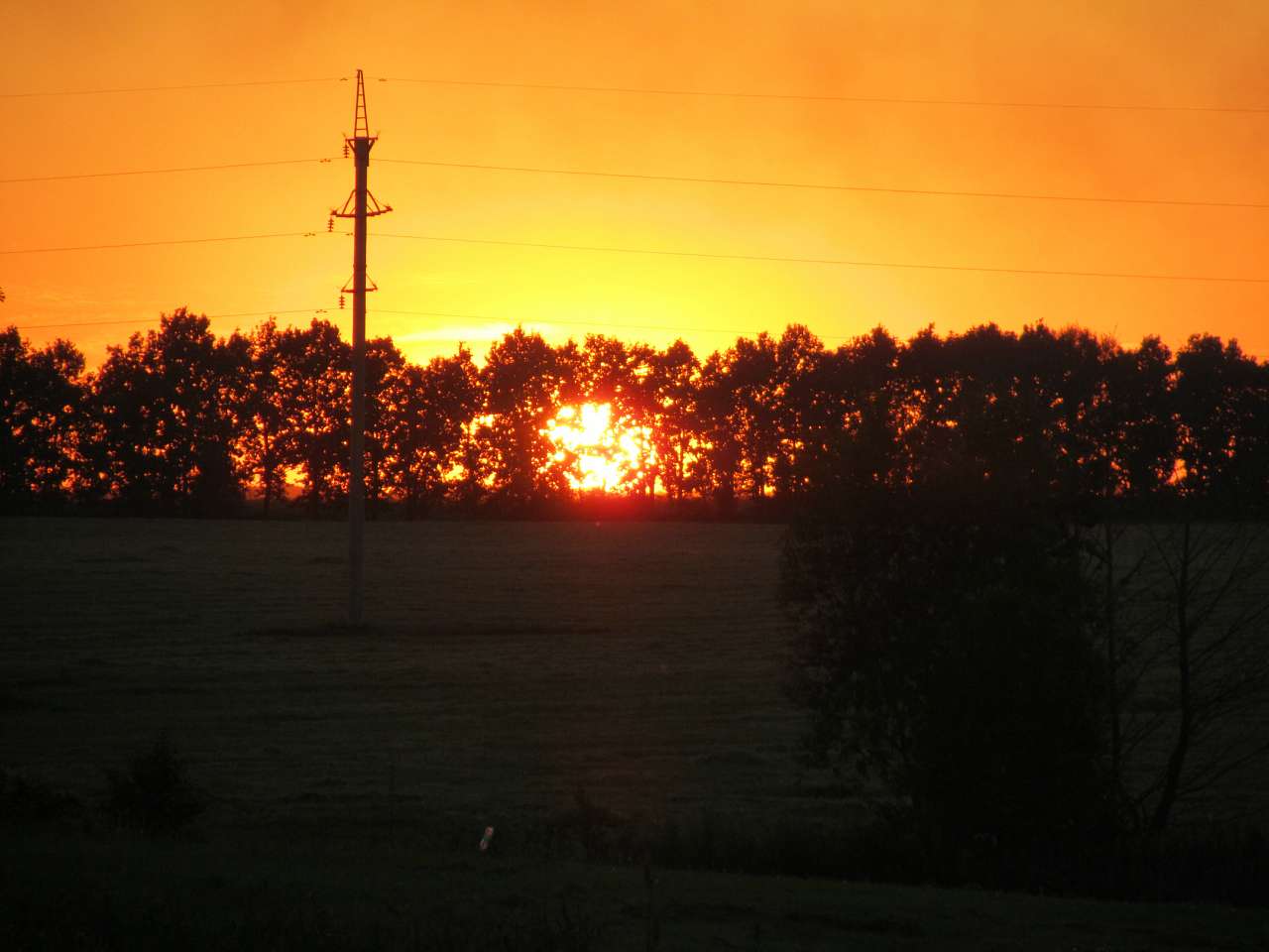 Водотиї - Водотиї