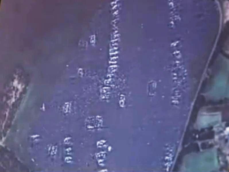 РОЗКОП ТРИПІЛЬСЬКОГО ПОСЕЛЕННЯ - Небелівка