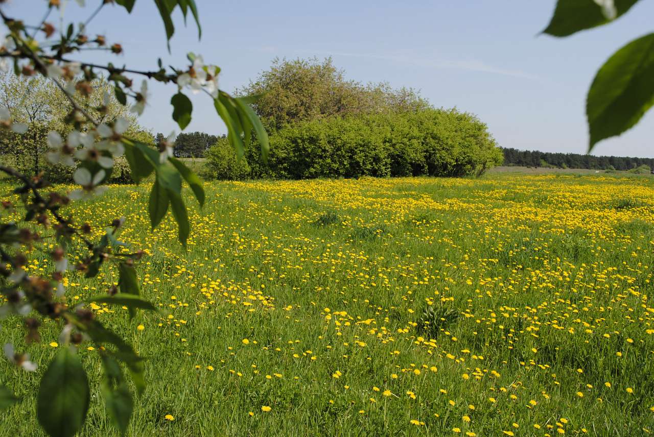 Нові про Машів - Машів