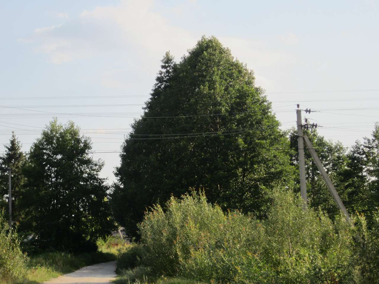 1 - Крымок