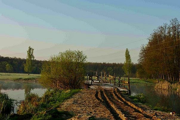 'Весна'-природа села Борушківці - Борушківці