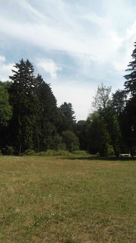 паркова алея поблизу маєтку - Райгородок