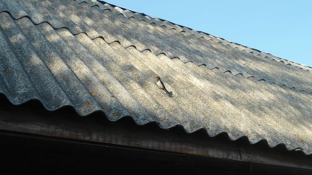 Природа - Райгородок