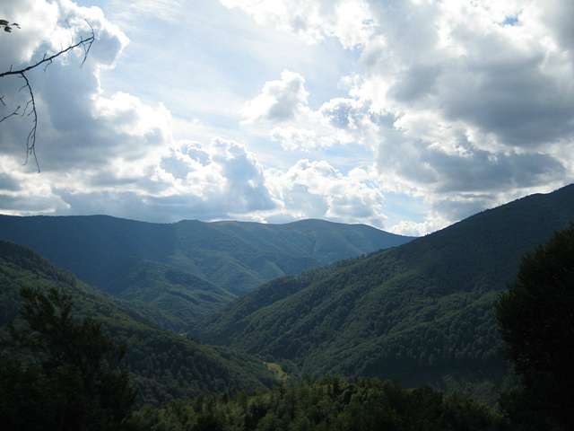 Мальовничі гори Карпати - Міжгір'я