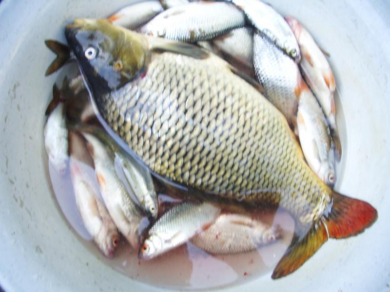 Моя Родина - Новоохтирка