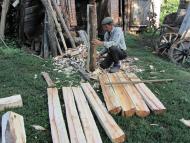 Перевозчане