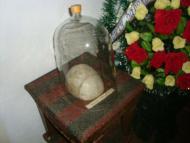 музей-садиба академіка Д. Заболотного