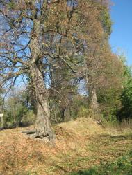 Садиба Роллє