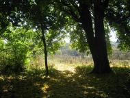 Садиба Роллє