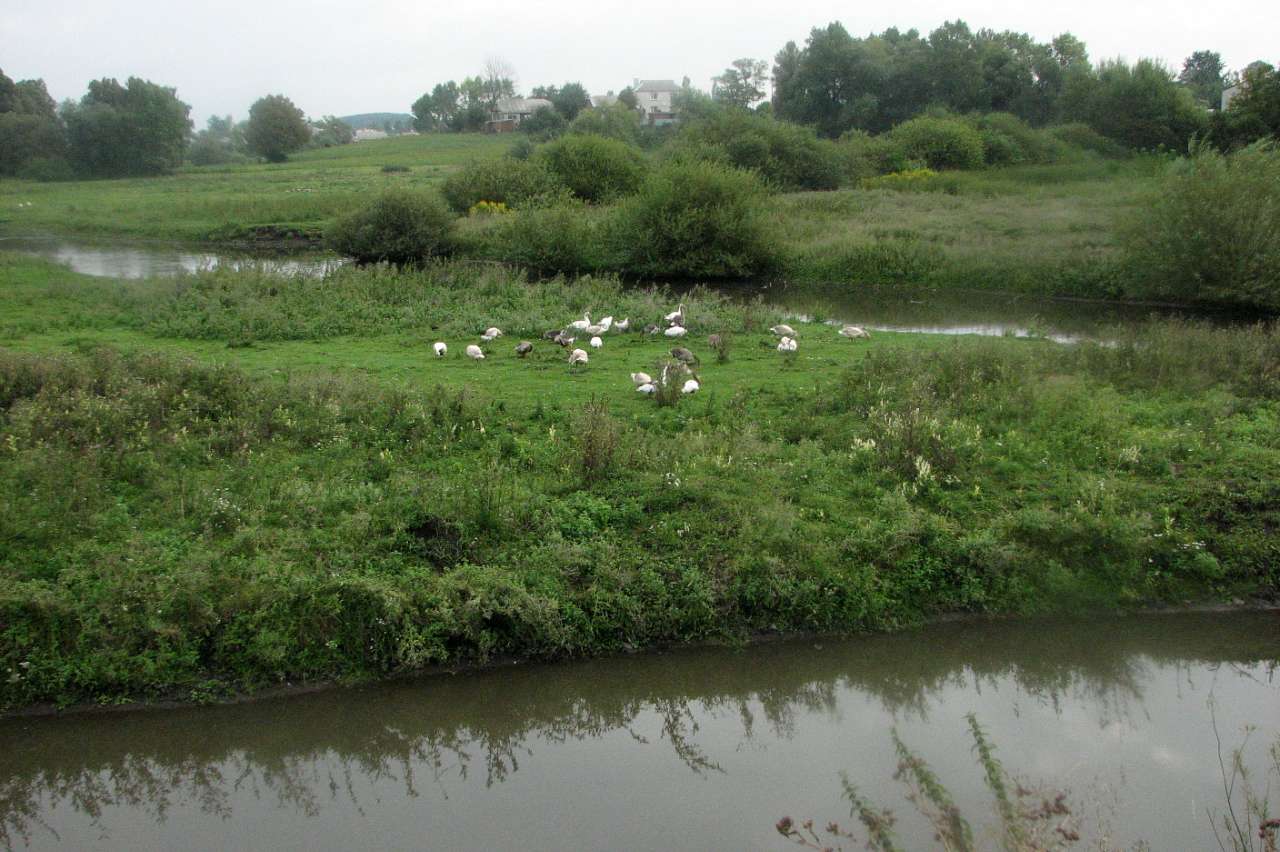 Село Малий Митник - Малый Мытник