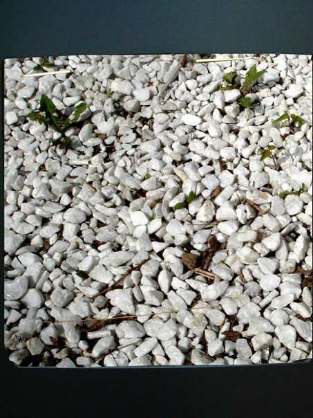 Природа - Мельница-Подольская