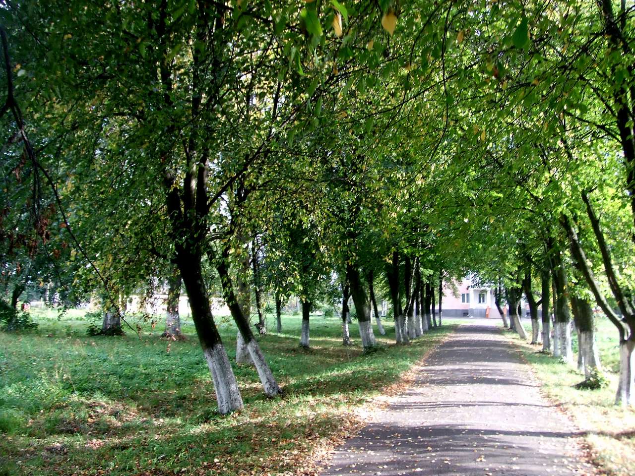 школа - Derzhiv