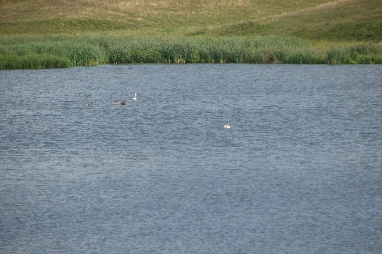 Село Малий Митник - Малый Мытник