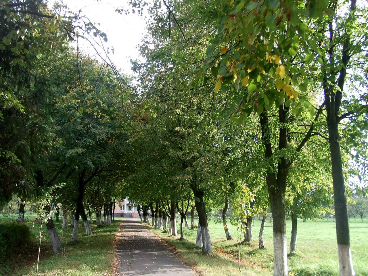 школа - Derzhiv