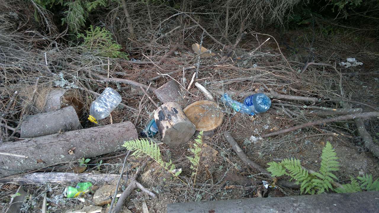 Екс Грибні місця - Верхний Яловец