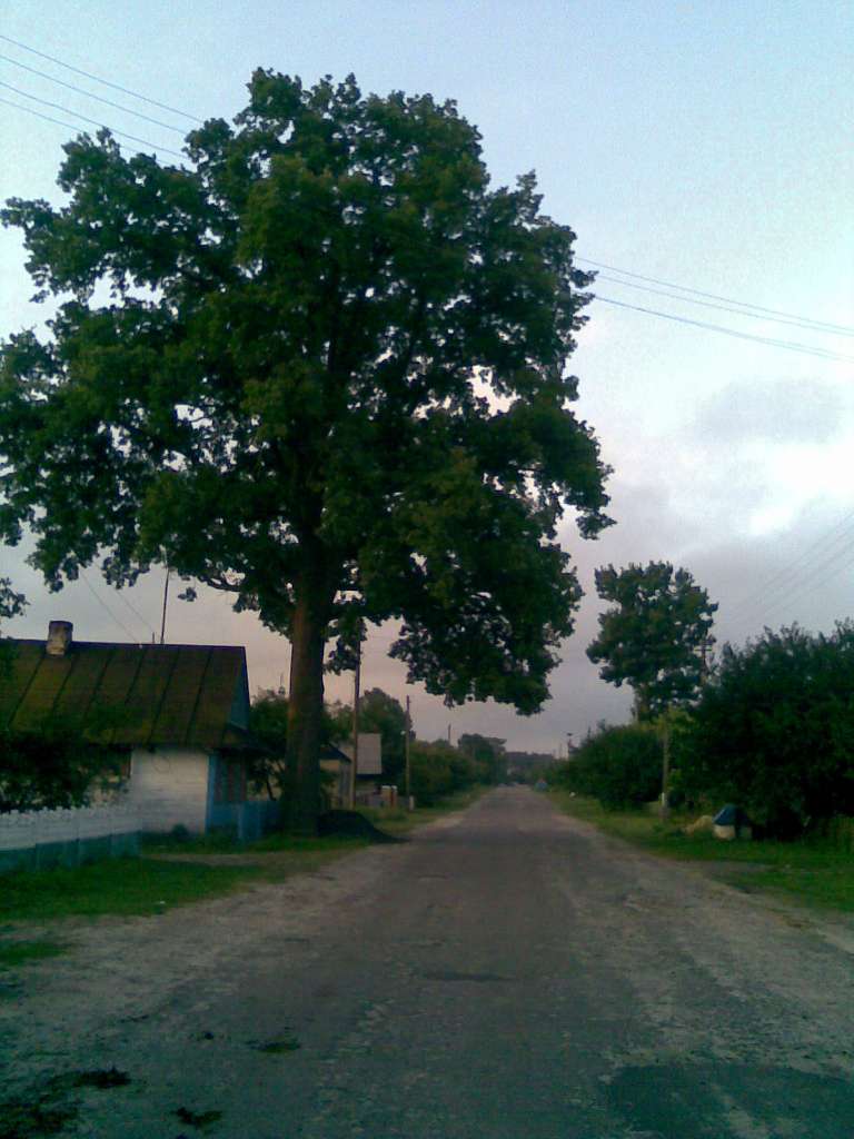 Школа - Гута-Камінська