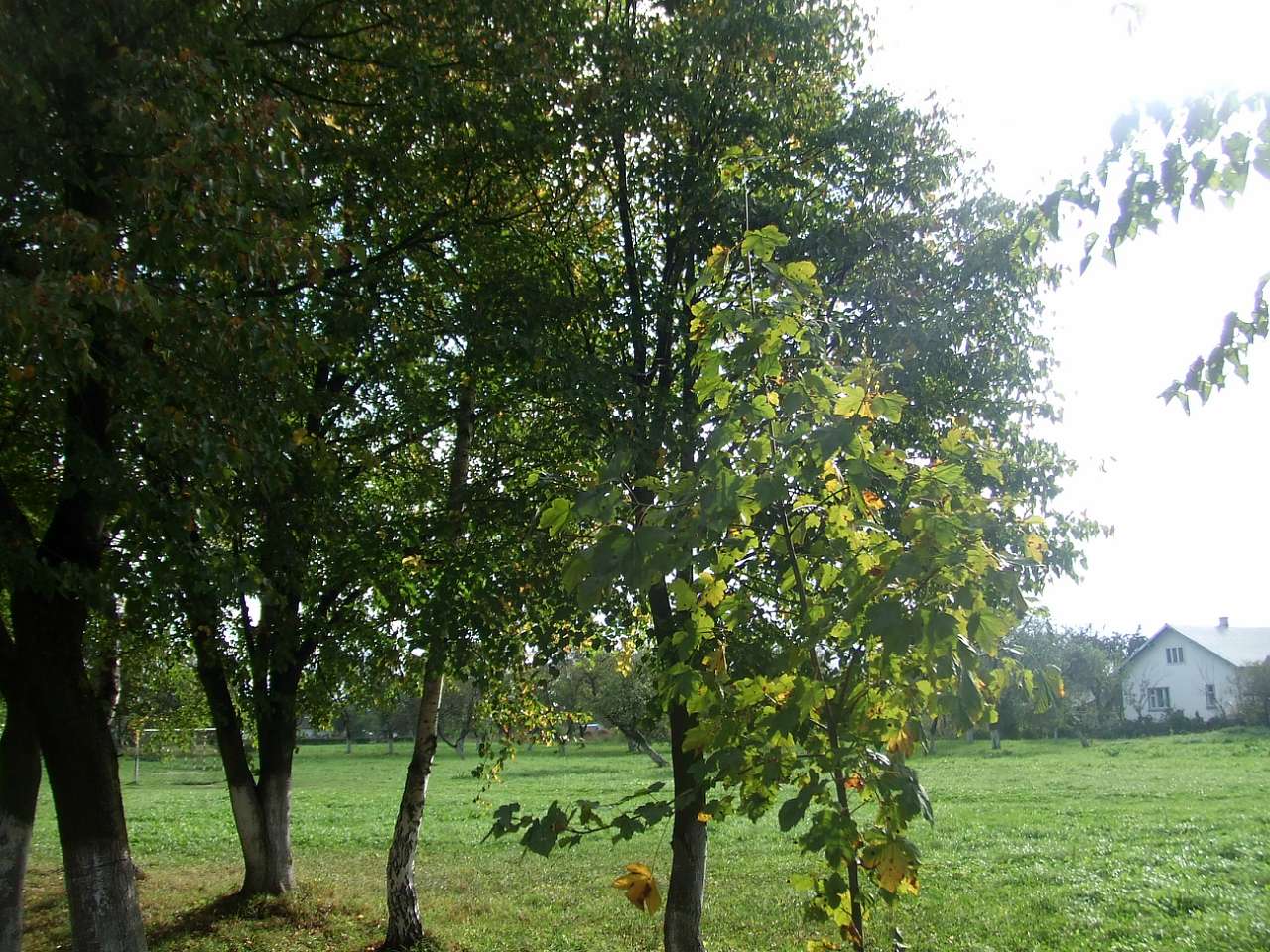 школа - Derzhiv