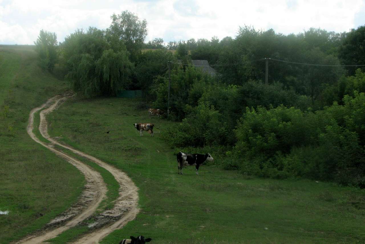 Село Малий Митник - Малый Мытник