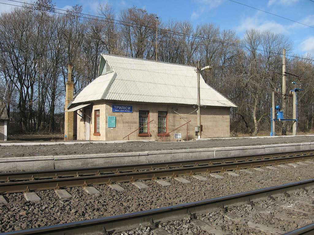 Селище Триліси - Триліси